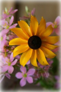 yellow flower 3