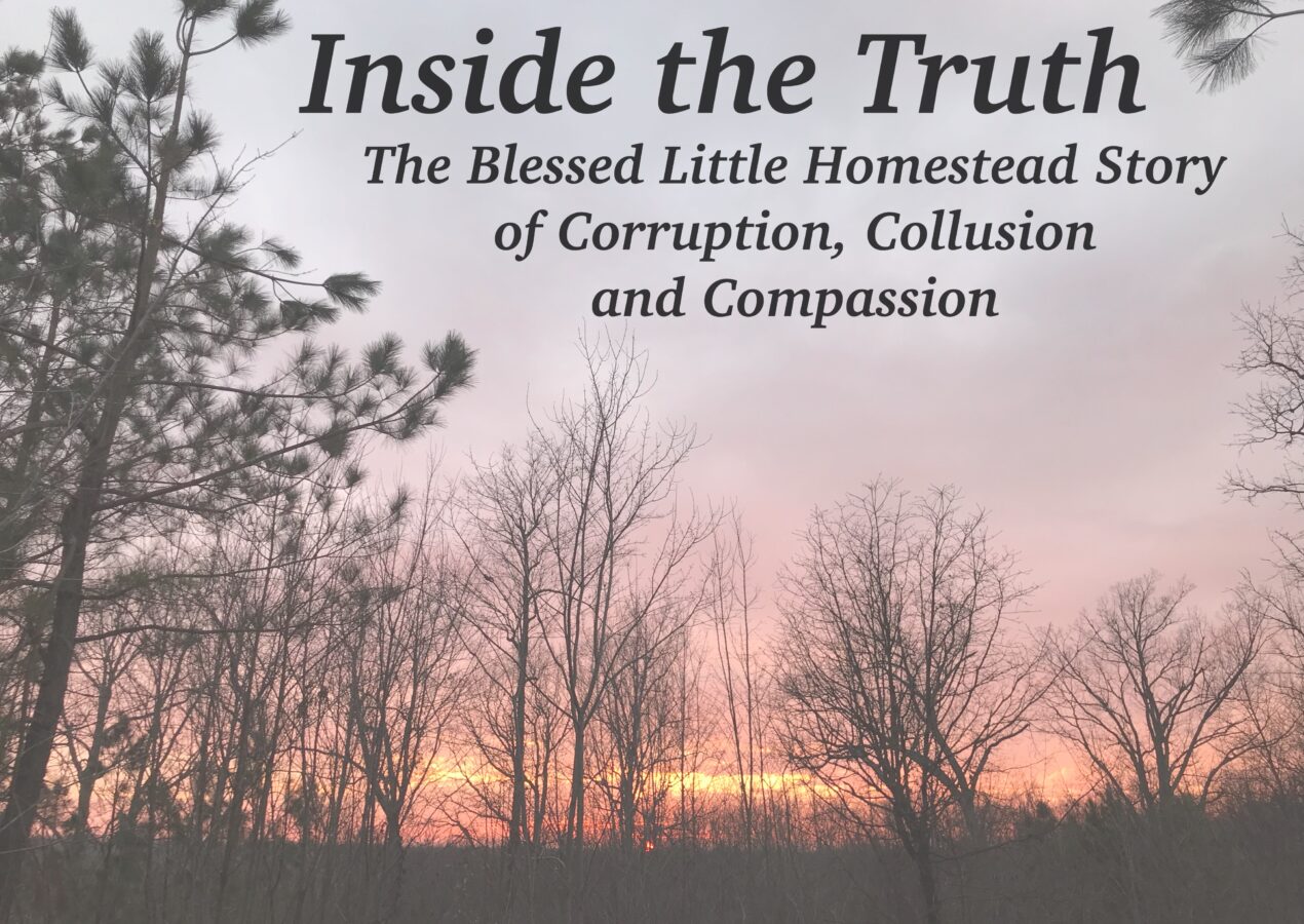 Inside the Truth~The Blessed Little Homestead Story  of Corruption, Collusion and Compassion ~ Introduction